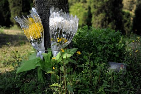 草坪葬|树葬、花葬……身后事“回归自然”渐被大众接受